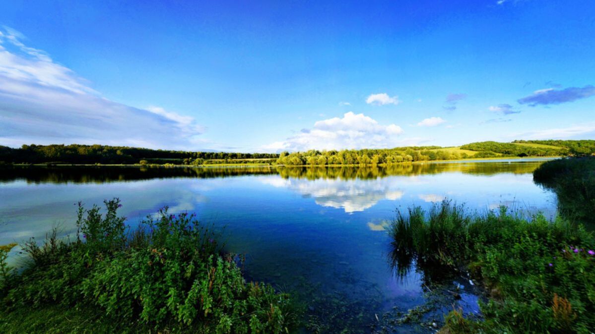 Rother Valley Country Park, South Yorkshire